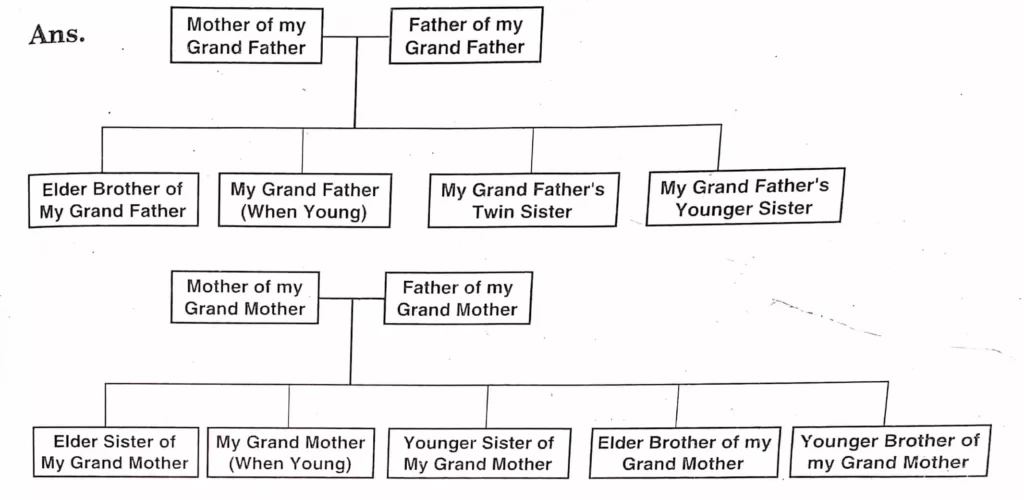 changing-families-class-4-evs-question-answers-learn-jkbose